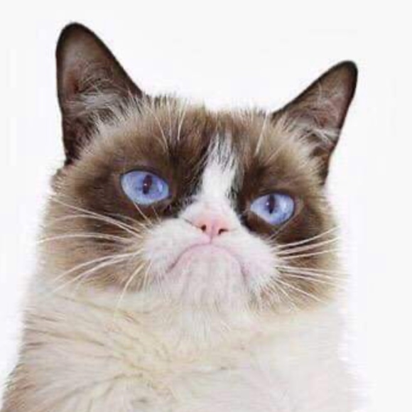 Meet your Posher, Crystle - Picture 1 of 1